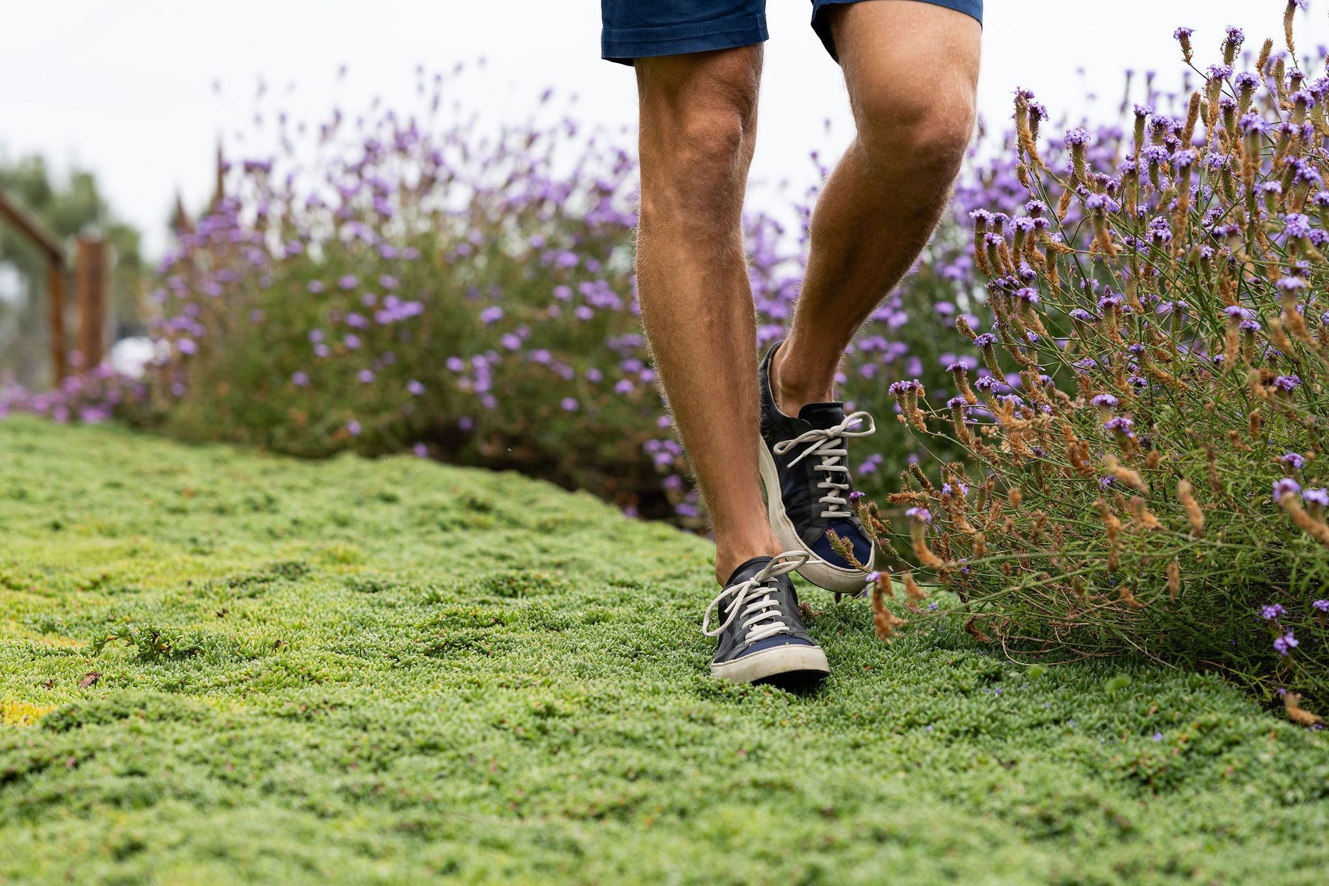 Eco-Friendly Law Alternatives - San Diego - Drab to Fab