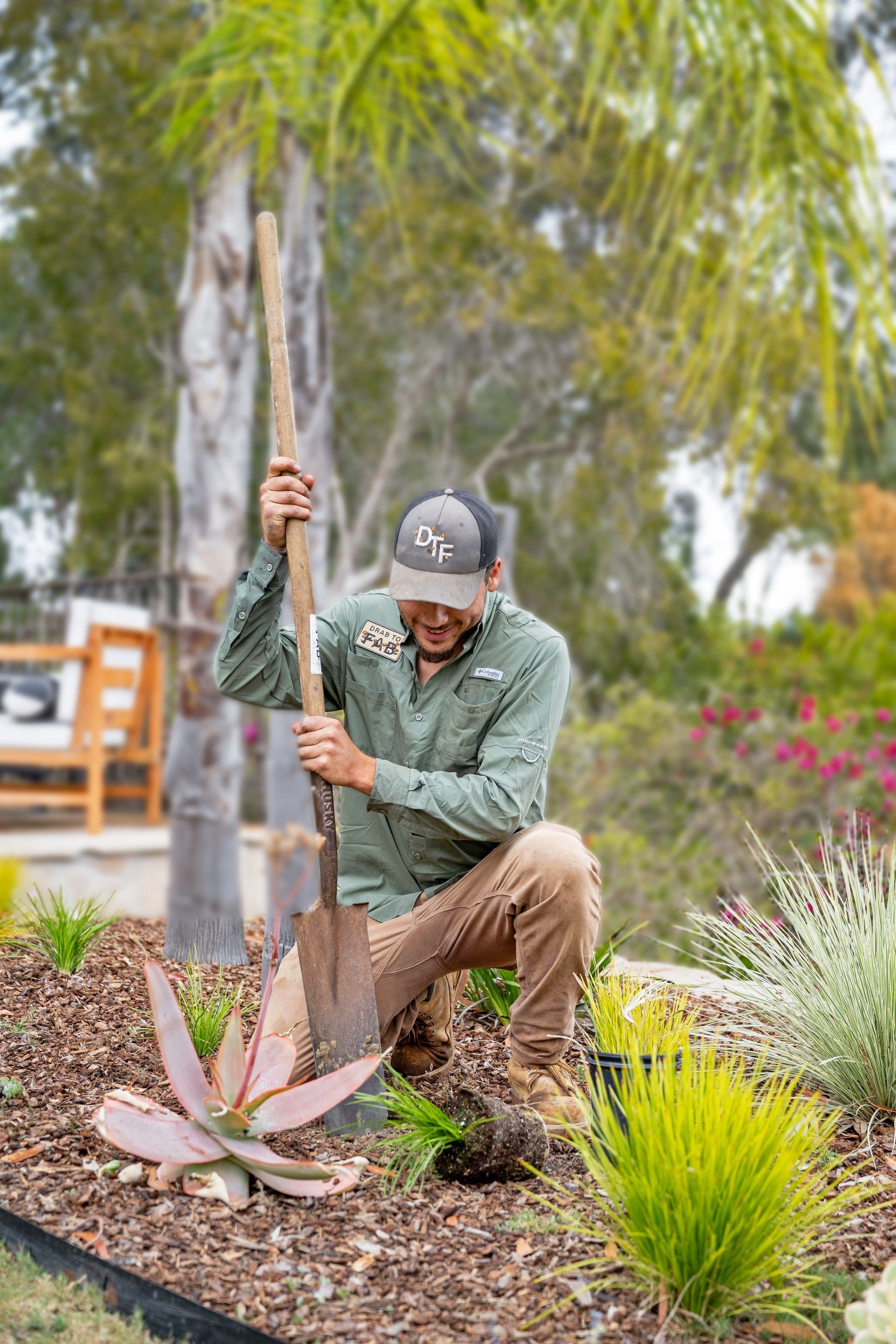 Low-Maintenance Landscaping - San Diego - Drab to Fab