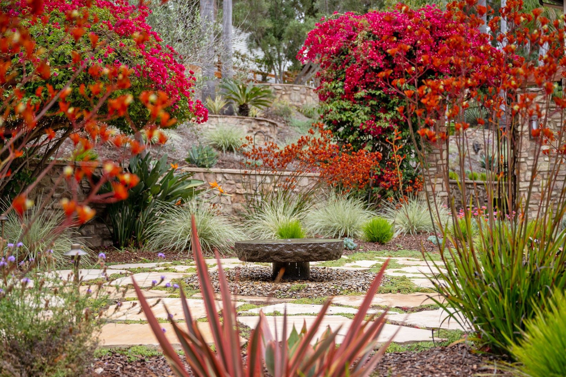 Low-Maintenance Landscaping - San Diego - Drab to Fab