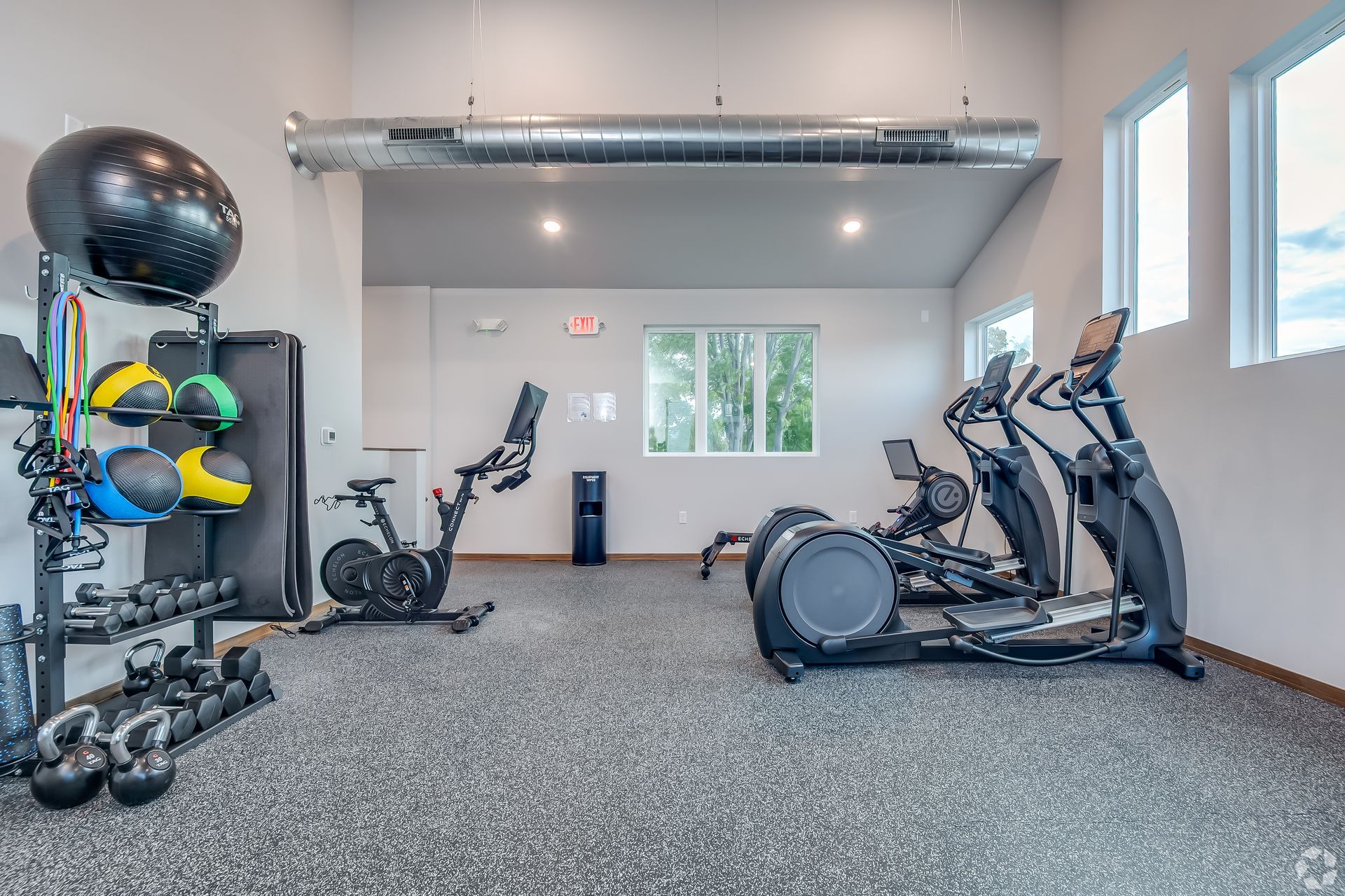 Empty home gym with exercise bikes, dumbbells, and stability balls on a speckled floor.