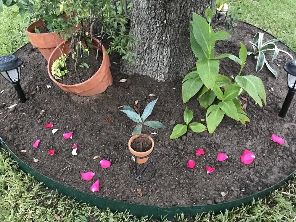 austin tree service - gallery image 13