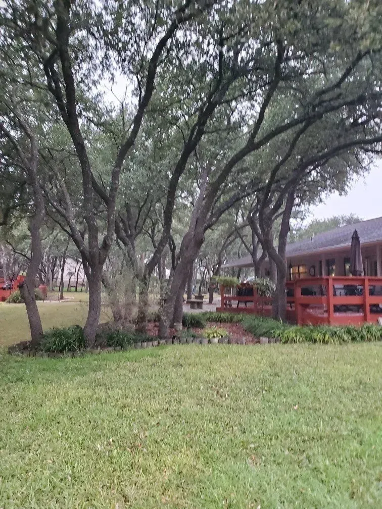 austin tree service - gallery image 12