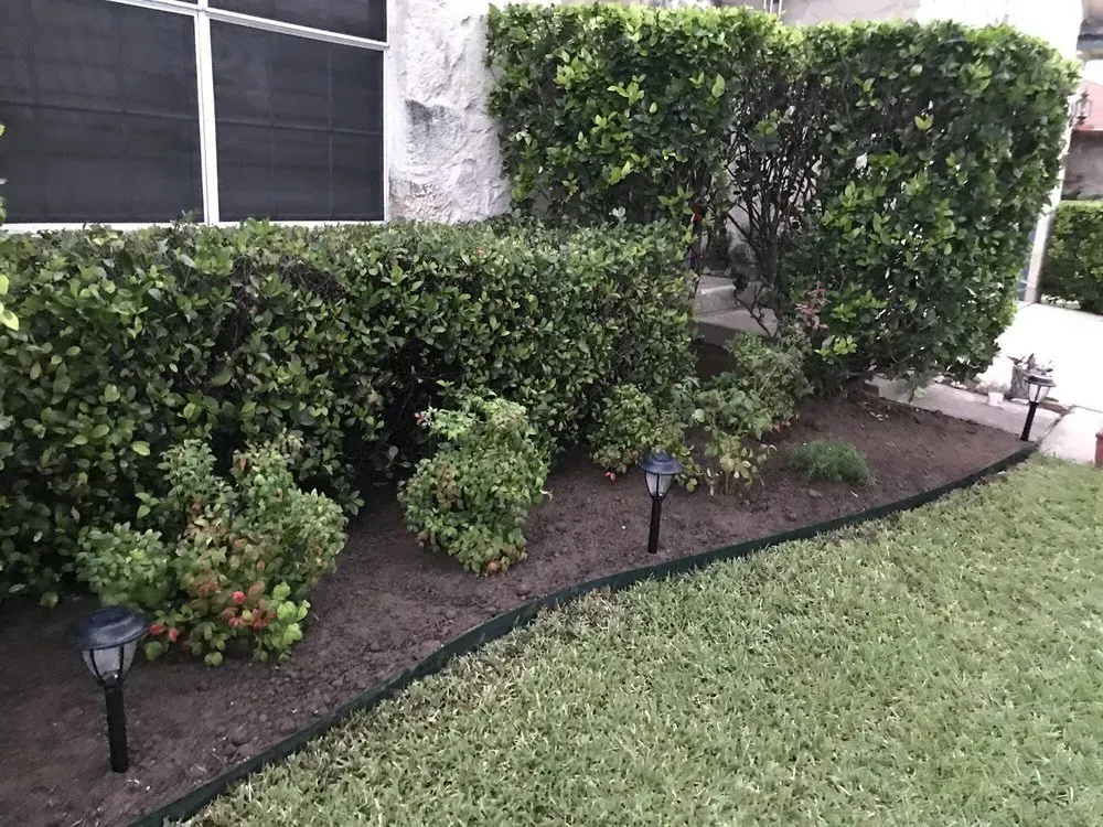 austin tree service - gallery image 9