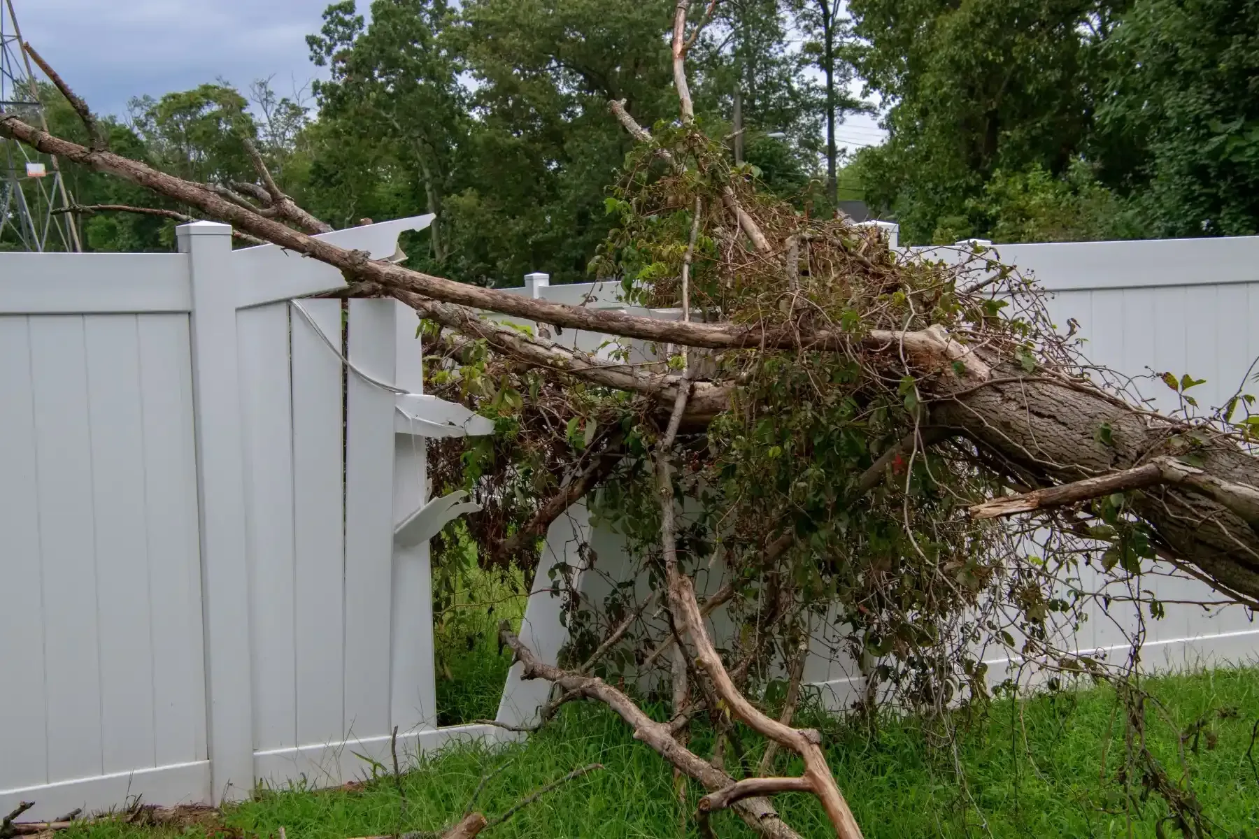 austin storm damage