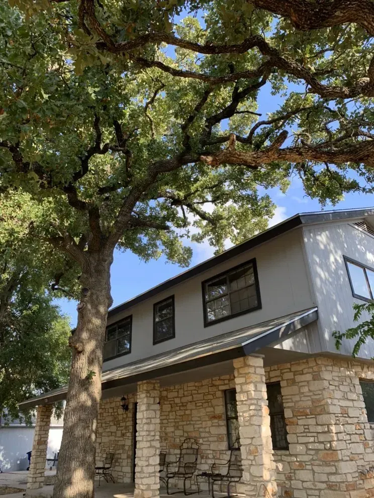 austin tree service - gallery image 7