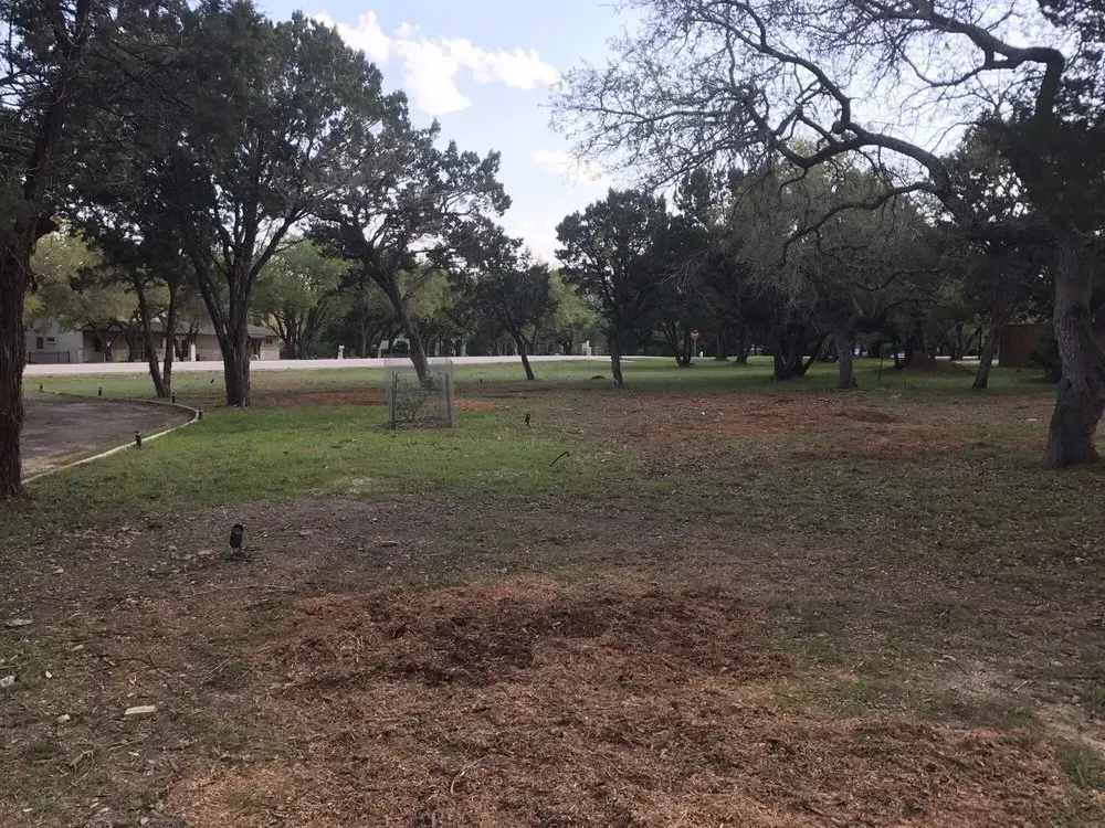 austin tree service - gallery image 4