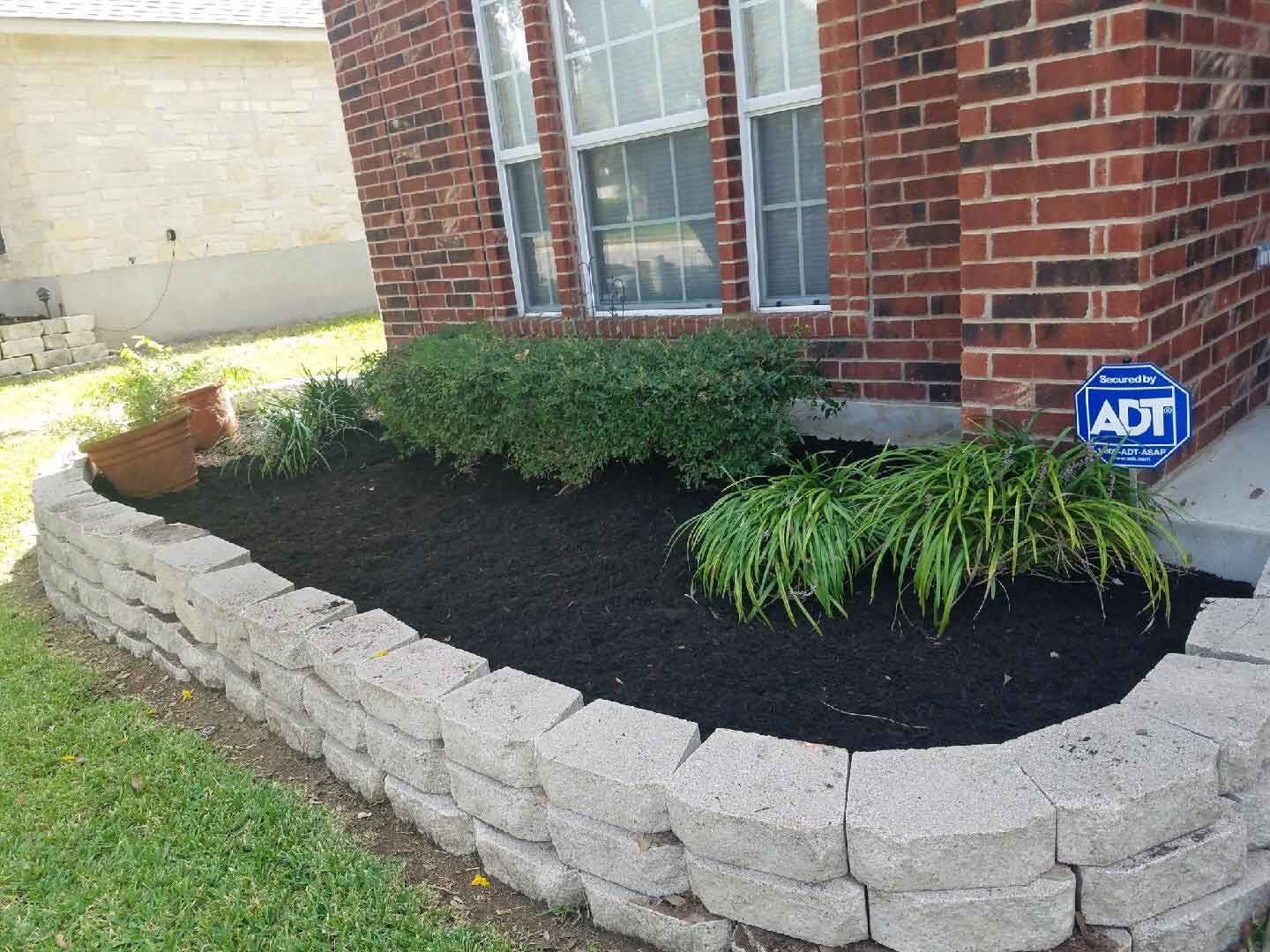 austin tree service - gallery image 3