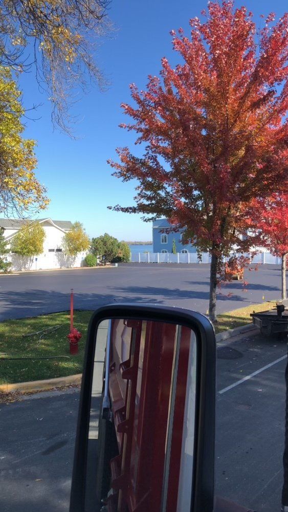 A rear view mirror shows a tree with red leaves in a parking lot.