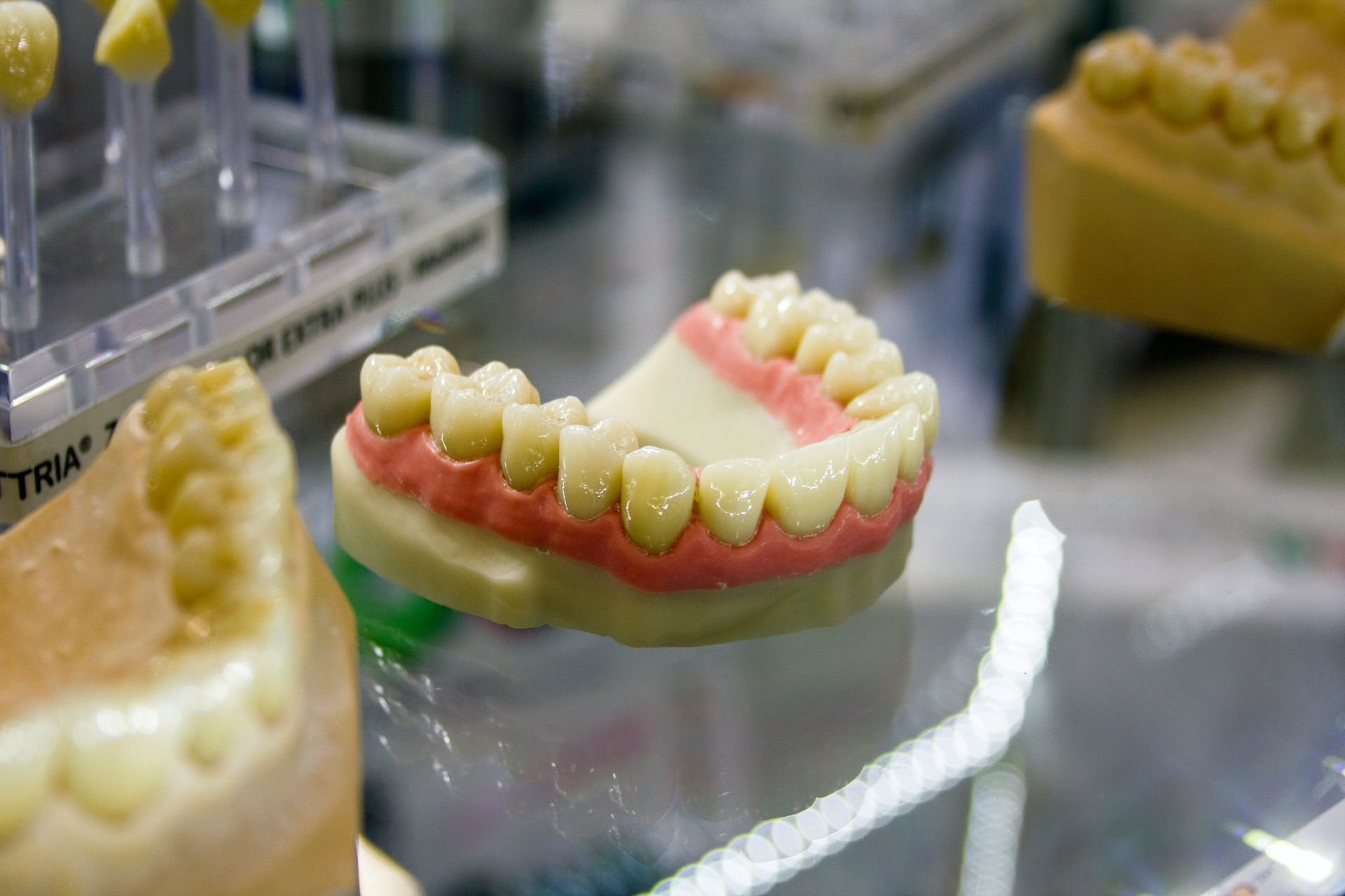 Dentures on display, with pink gum and white teeth, in a dentist's office.