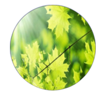 南投縣私立保生長期照顧中心, 草屯中彰投