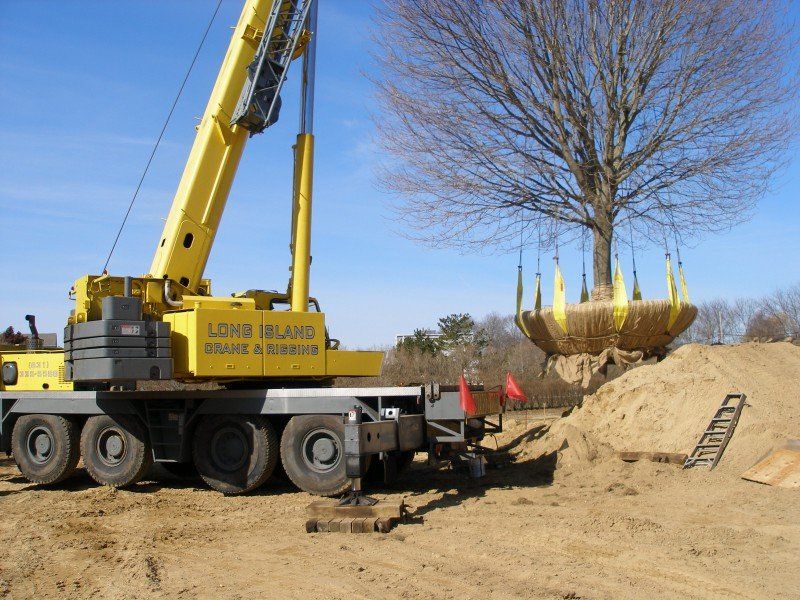 100 Ton Grove Transplanting a 40,000 lb Tree in Bridgehampton