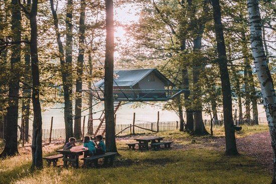 slapen in de bomen in dierenpark han sur lesse ardennen