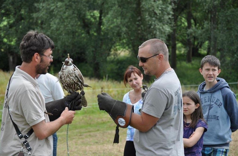roofvogeldemonstratie ardennen