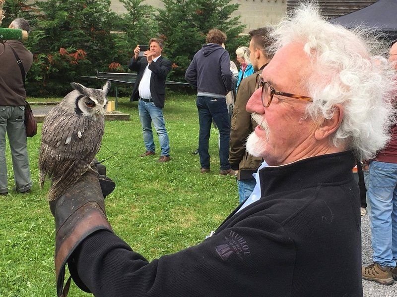 roofvogel demonstratie workshop