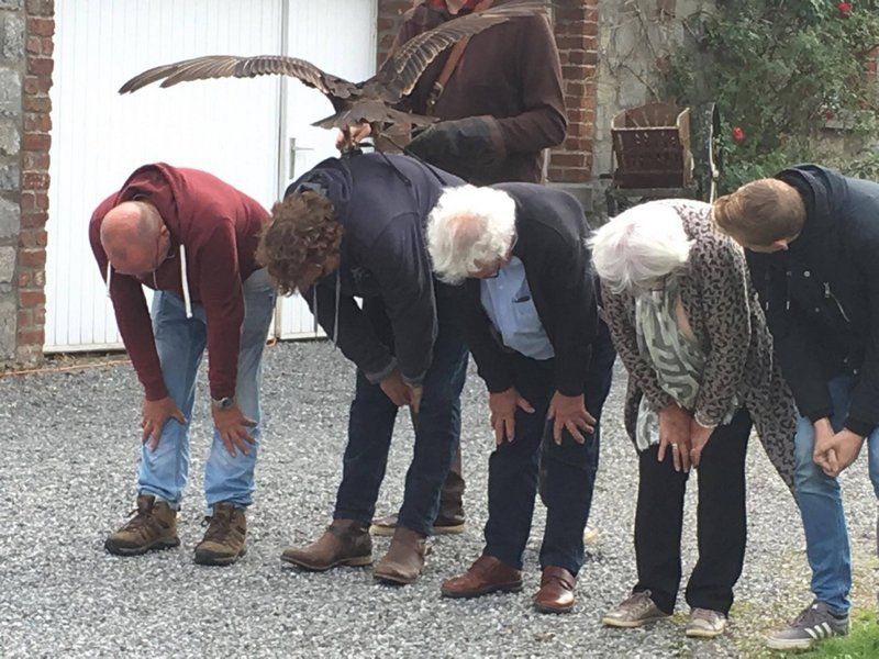 activiteit roofvogels