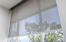 Roller shade over a window; shade is semi-transparent, showing a view of trees and sky.