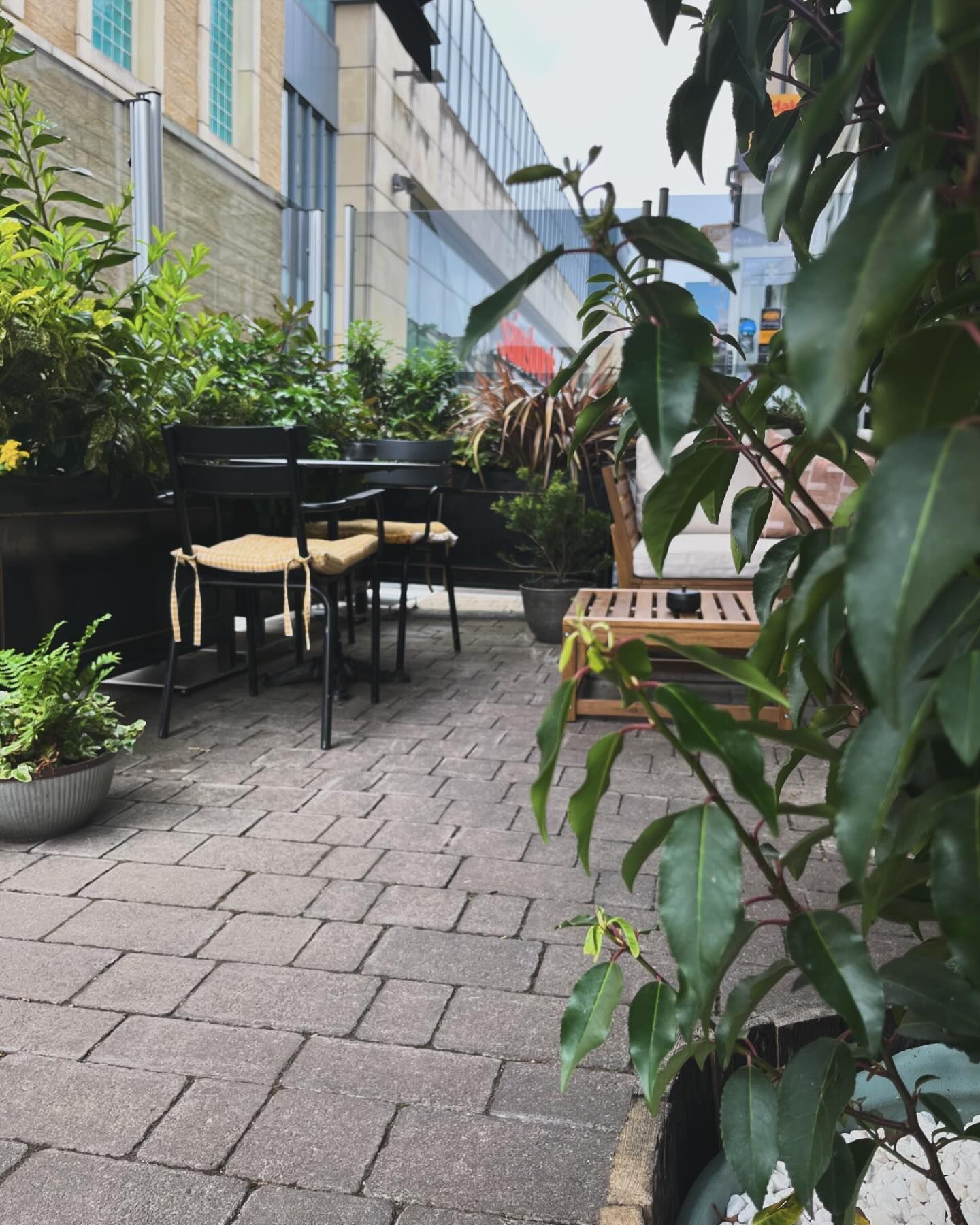 Montys_Burger_Bar