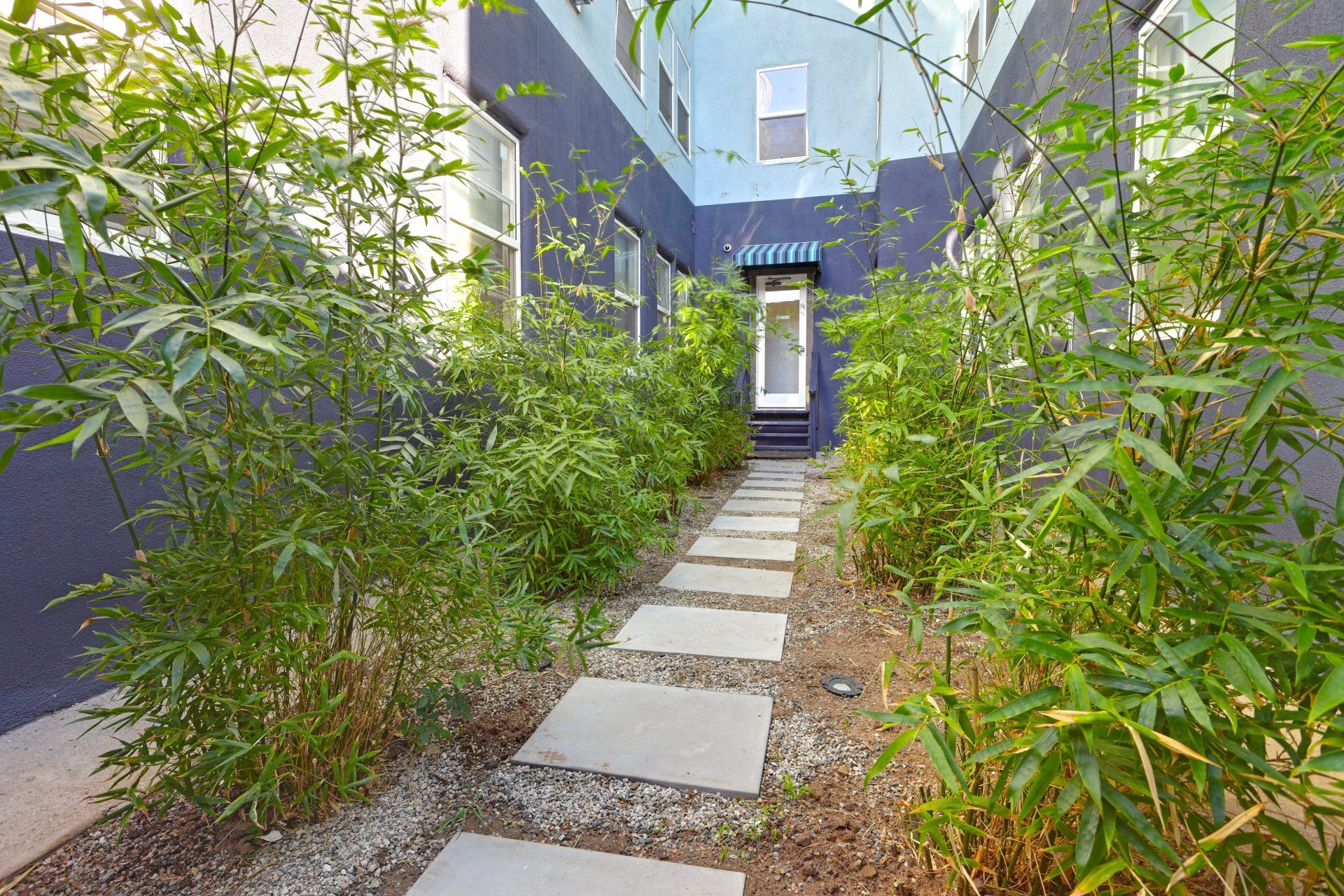 Enfused Walkway Photo