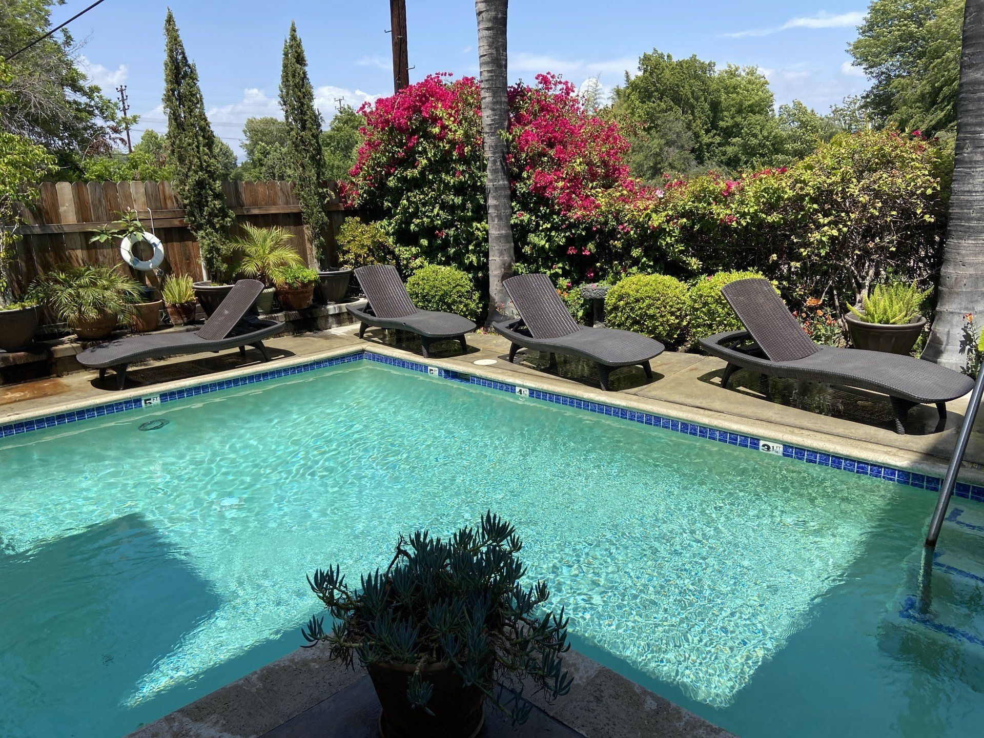 The Carlton Apartments Pool Photo