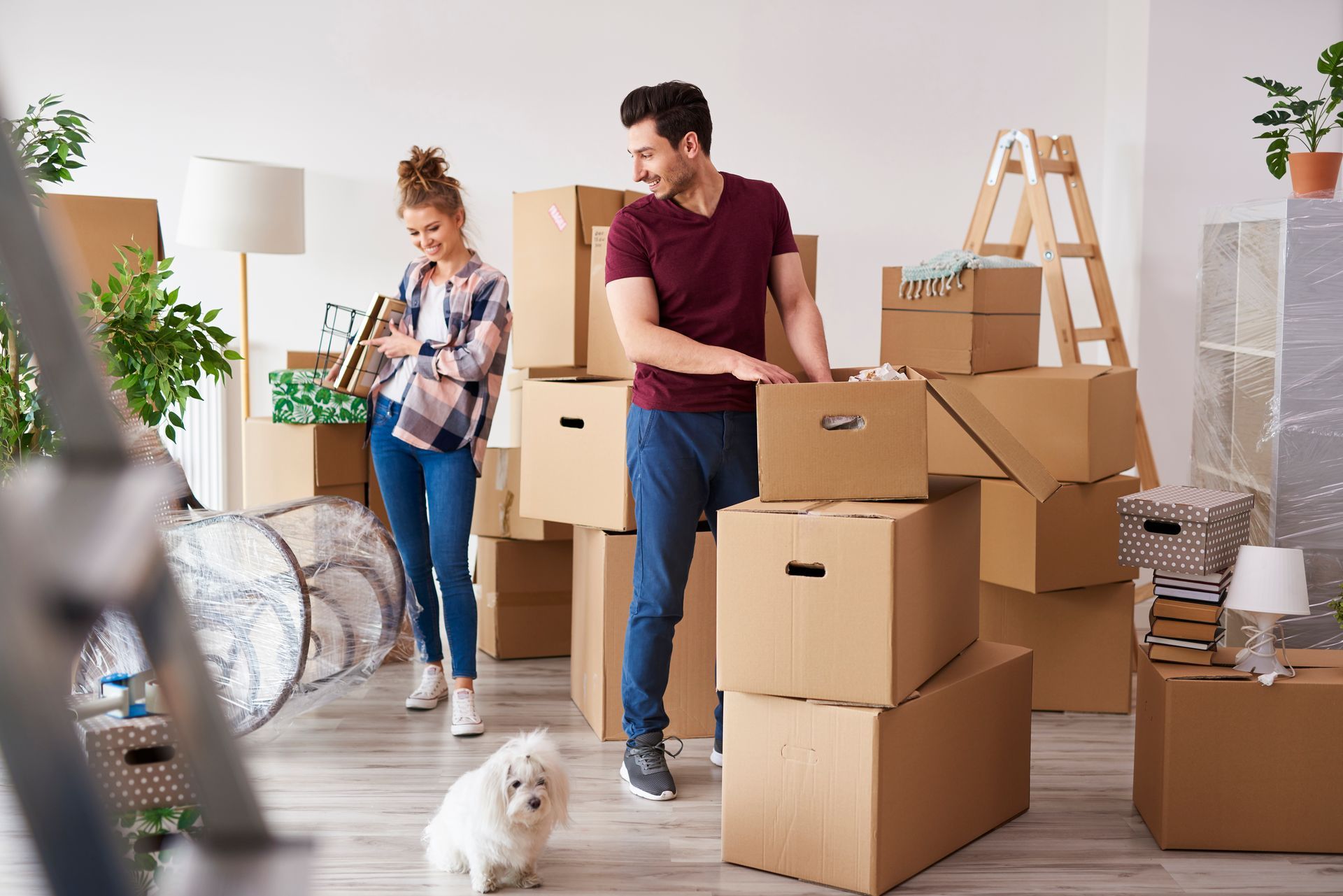 Couple unpacking cardboard boxes in a bright room, with a small dog and a ladder nearby.