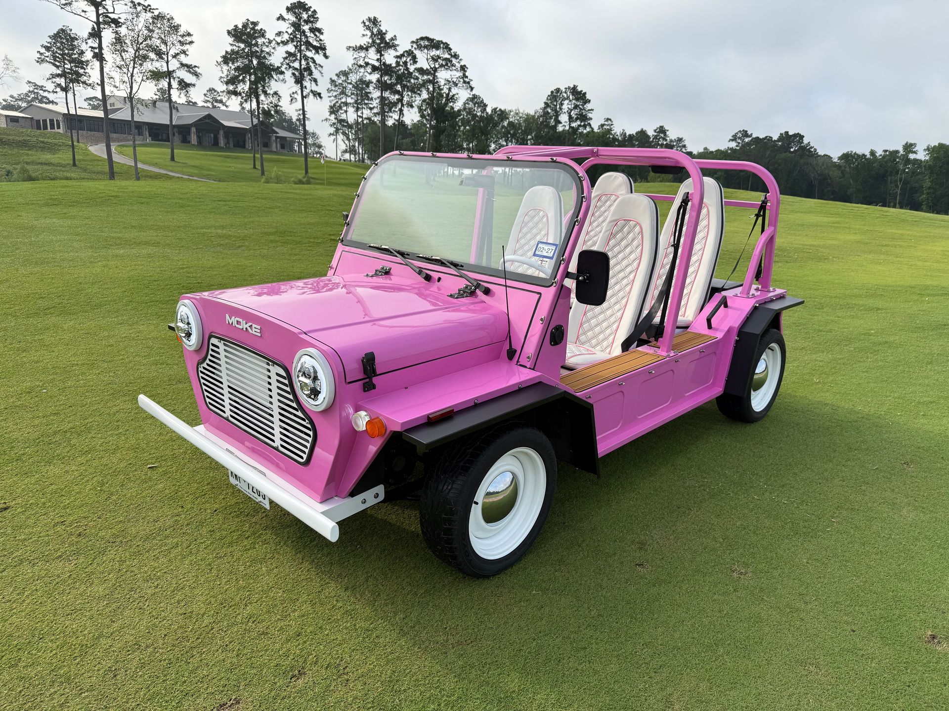 2018 Pink 
