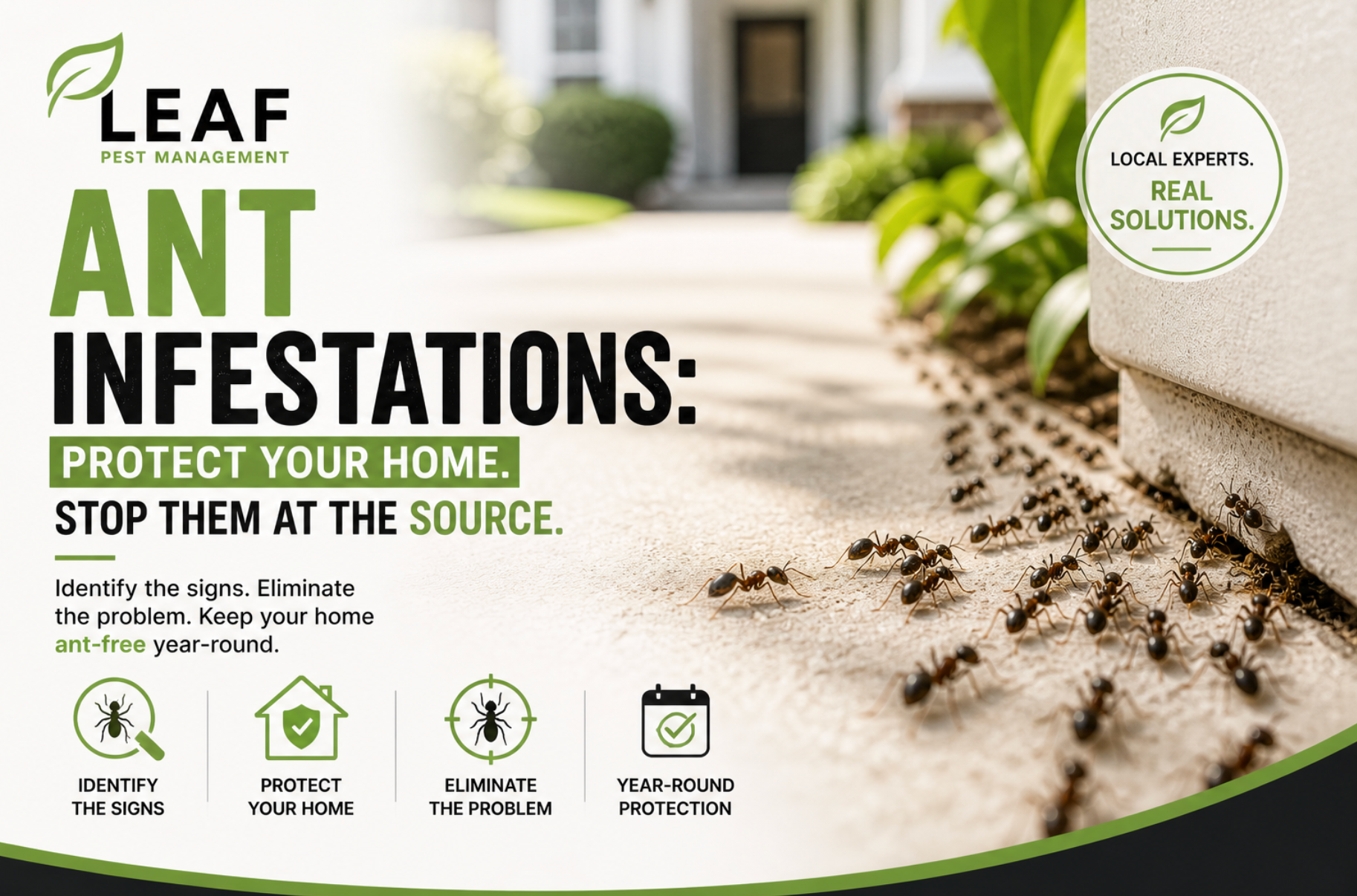 ant control for los angeles homeowners