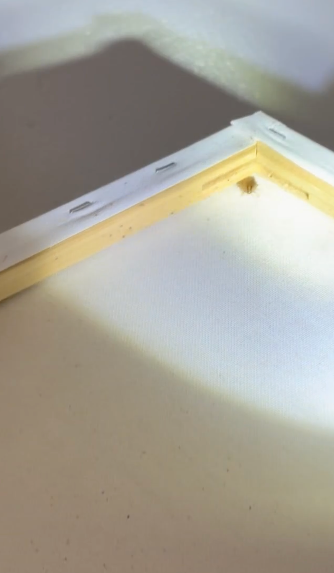 bed bug removal
