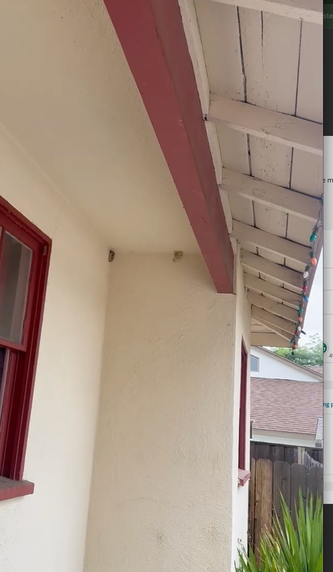 spider removal after pic