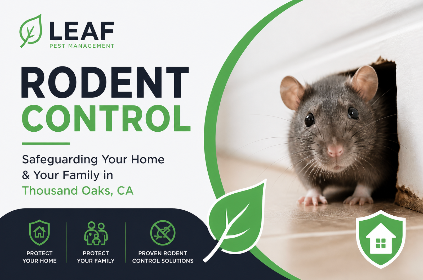 rodent control thousand oaks,rat control,mouse prevention