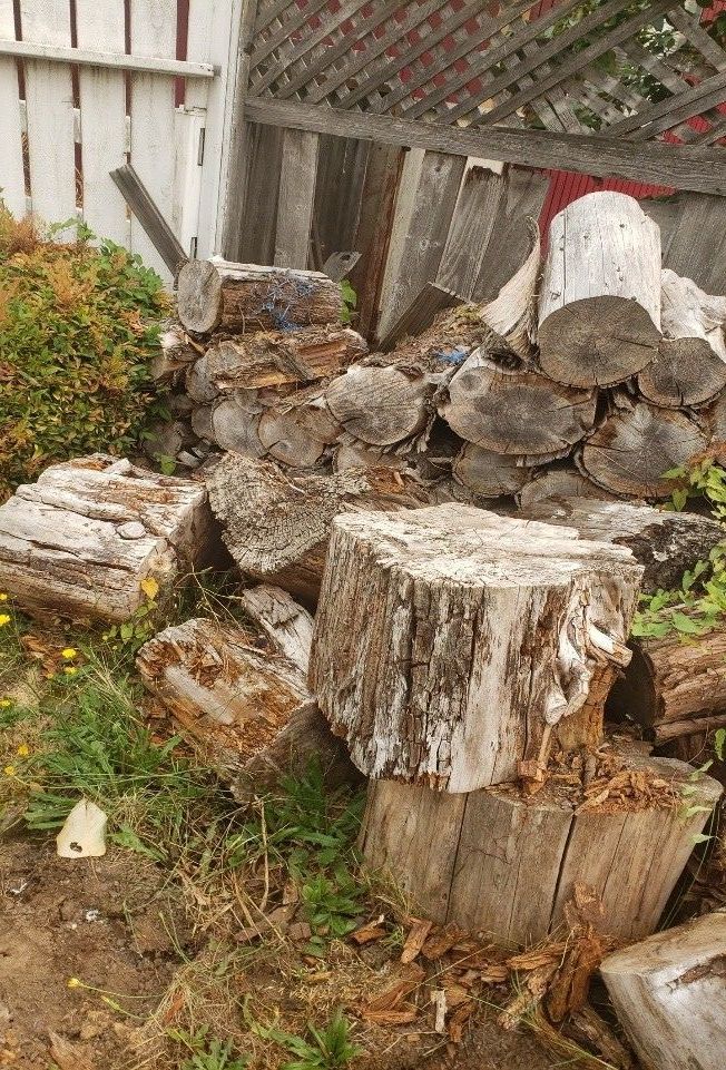 A wheelbarrow with a tire on it is sitting in front of a wooden fence.