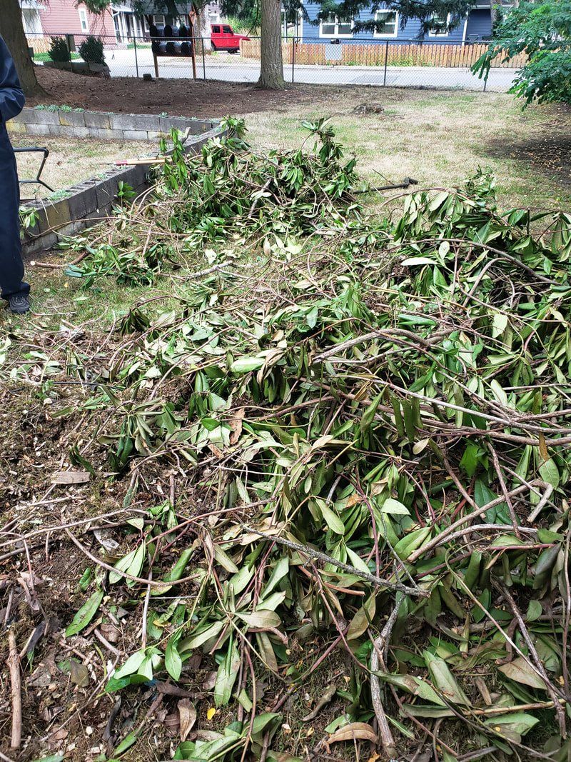 A person is standing next to a pile of branches and leaves in a yard.