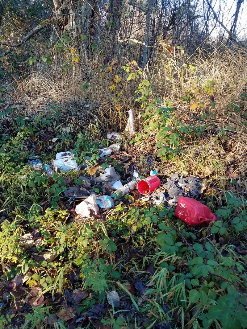 There is a lot of trash in the woods.