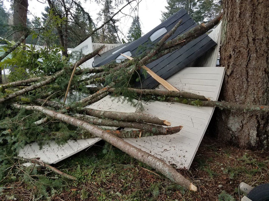 A pile of branches laying on the ground next to a tree.