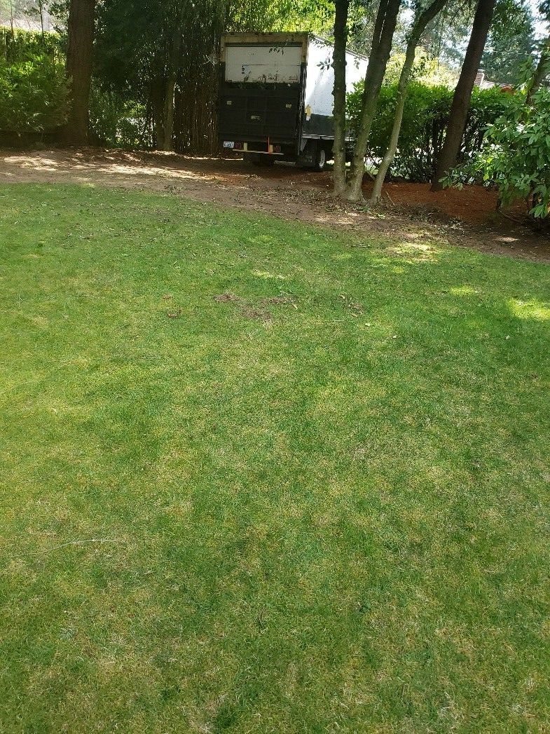 A backyard with a wooden fence and concrete blocks in the grass.