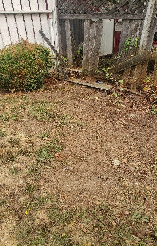 A backyard with a wooden fence and concrete blocks in the grass.
