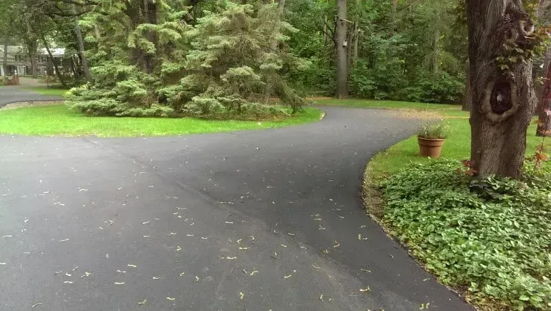 Curving asphalt driveway; a large evergreen tree and a tree trunk are on the right. Green grass borders the pavement.