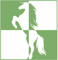 a white horse is standing on its hind legs on a green and white checkered background .