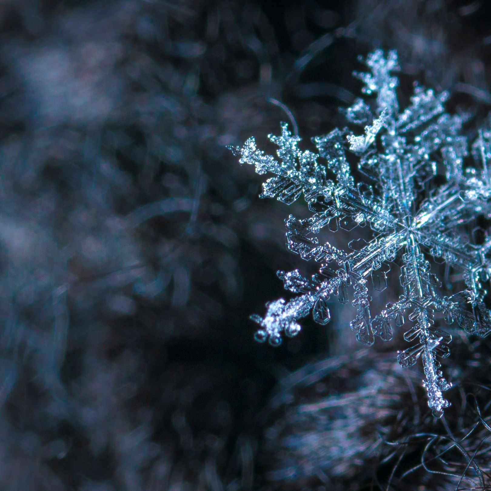 Winter self storage.