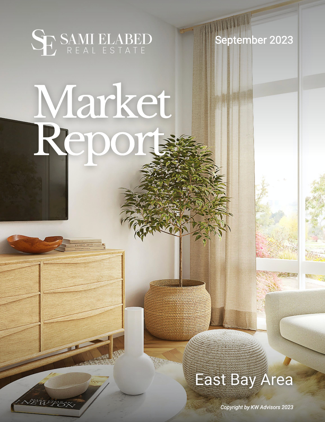 A living room with a television and a potted plant on the cover of a market report.