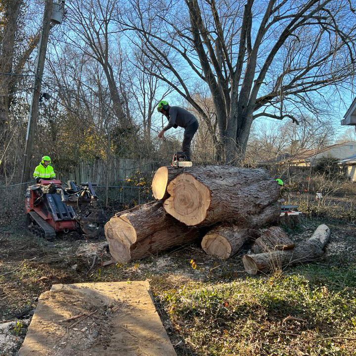 A man is standing on top of a pile of logs.