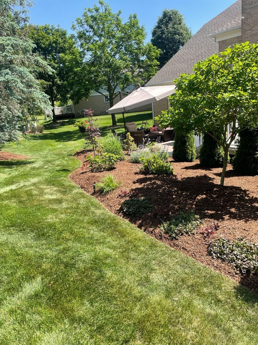 A lush green lawn with trees and mulch in front of a house.