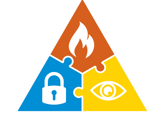 DVM Fire and Security Limited Logo