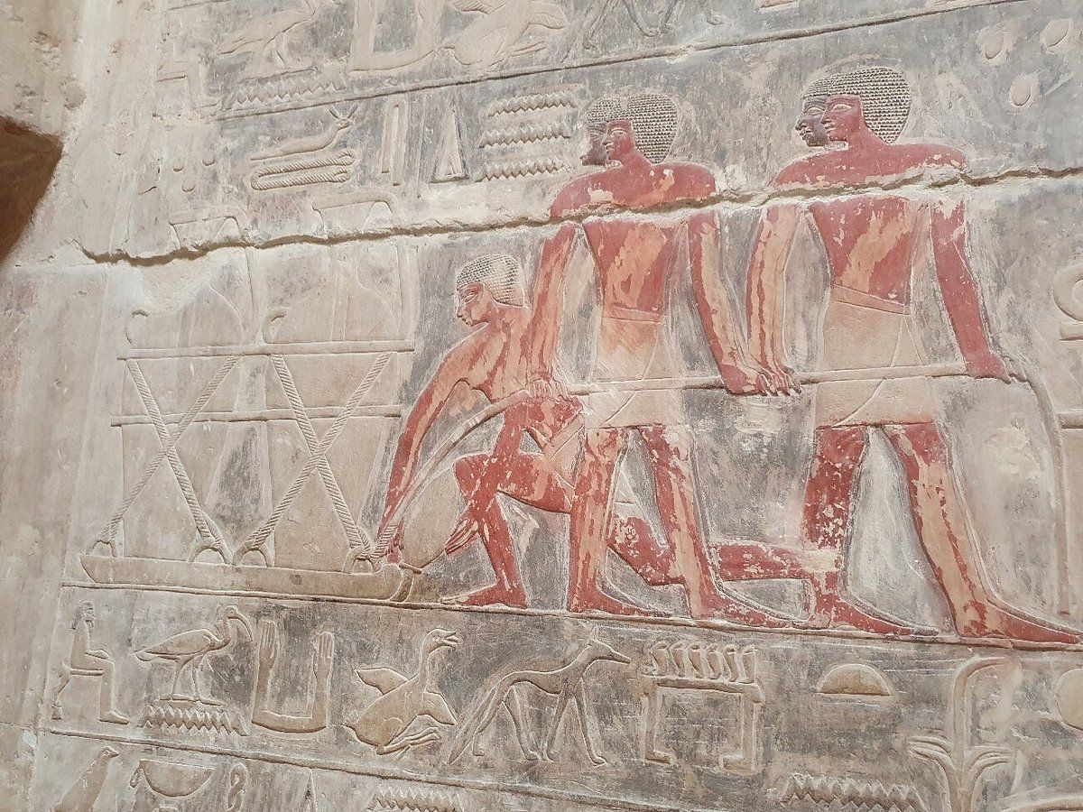 Egypt Travel Guide ,Egypt Tour Packages 2026,Things to do in Egypt, ,Cairo day trips