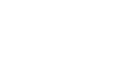 allegheny city realty logo