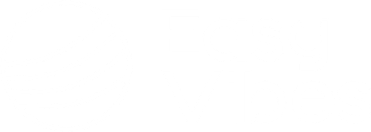 Easy Vibes Logo