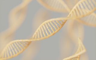 Twisted double helix structure, representing DNA strands, in a light gold hue.