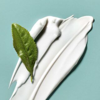 A green leaf is sitting on top of a white cream.