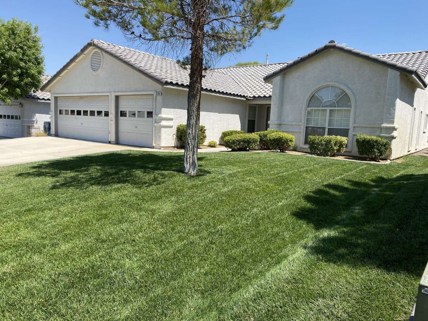 Freshly installed sod lawn in a Las Vegas front yard by Desert Palms Landscaping
