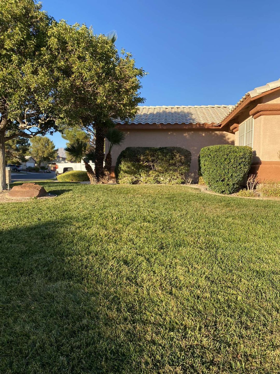 Monthly lawn and landscape maintenance for residential property