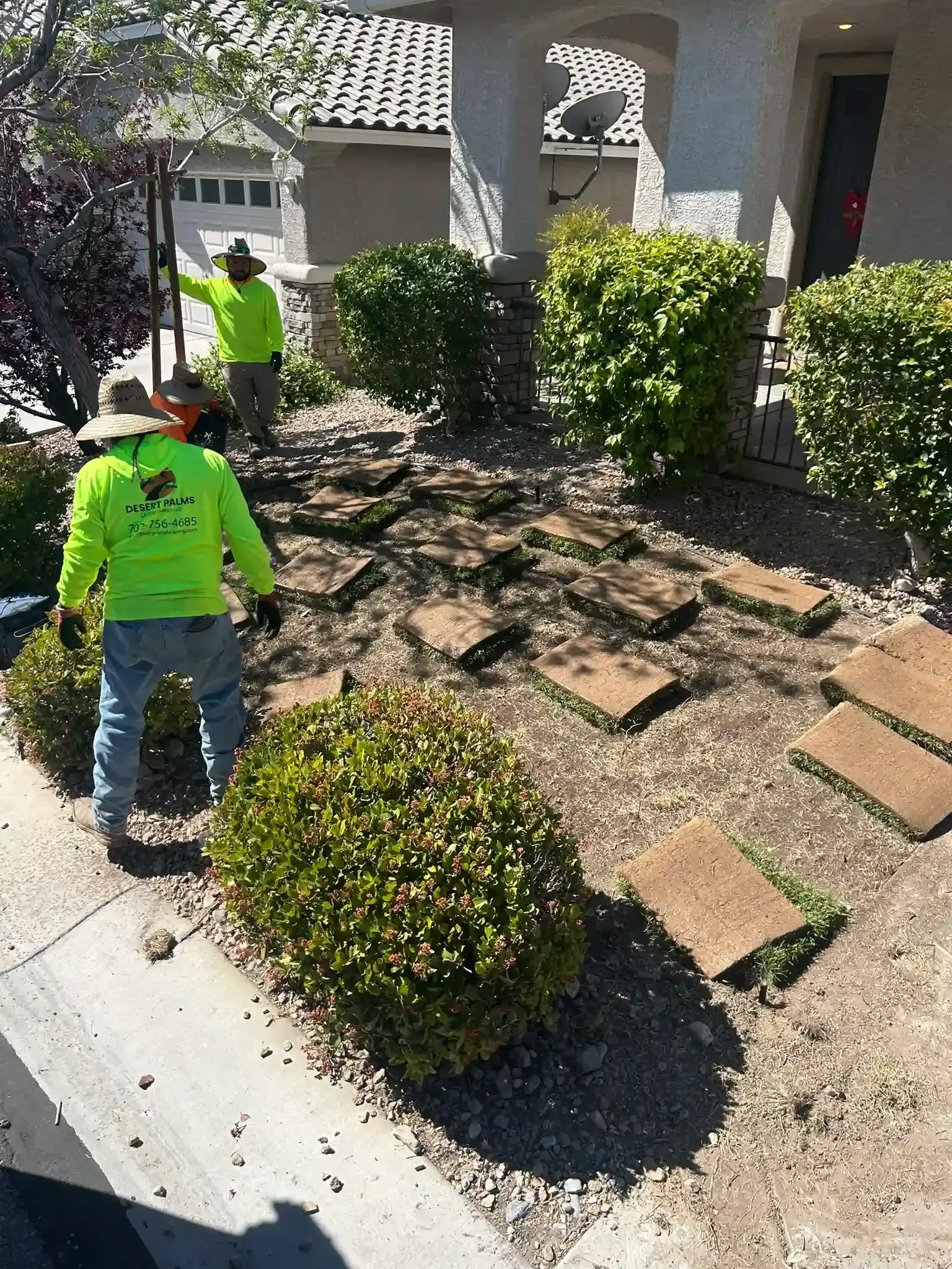 Sod installation Las Vegas